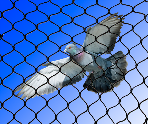Pigeon netting by Total Bird Control