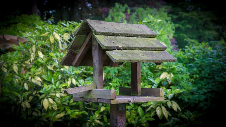 Will a Bird Table attract pests?