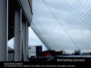 Bird netting services