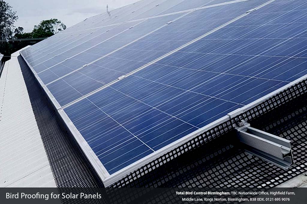 Bird proofing solutions for solar panels
